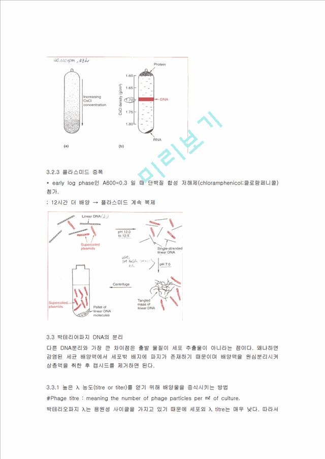 [의학,약학] [미생물학 실험] 세포로부터의 DNA 분리, 정제.hwp